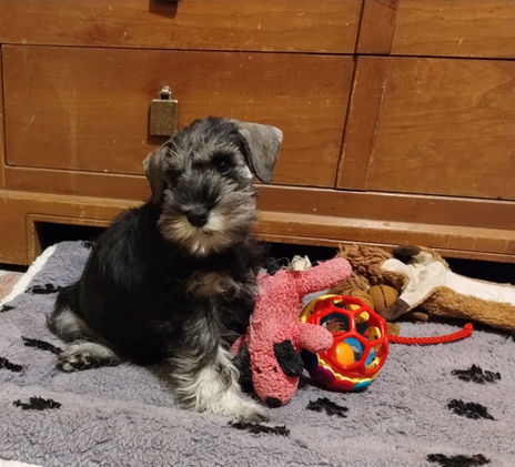 2023-01-09 20.50.34-1.jpg