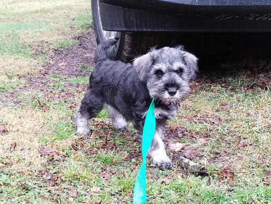 2022-12-31 16.42.14.jpg