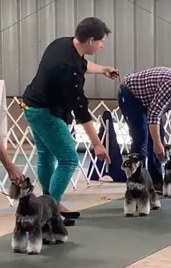 Screenshot 2022-05-22 191139.jpg