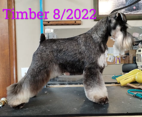 2022-08-19 14.42.13.jpg