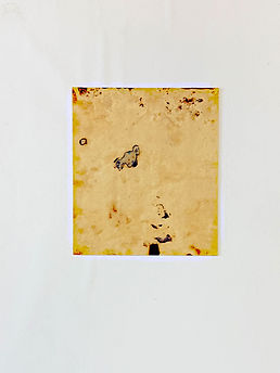 TEA.LEAF.TEXTILE.jpg