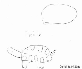 daniel_zeichnung_website_schildkroete_20260918_20260918.jpg