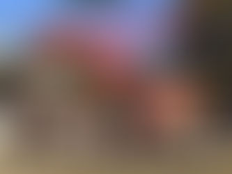 Aチーム 深川秋季大会優勝!