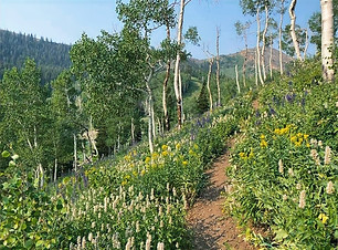park city fat lip trail_edited.jpg