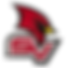 Saginaw Valley State (2).png