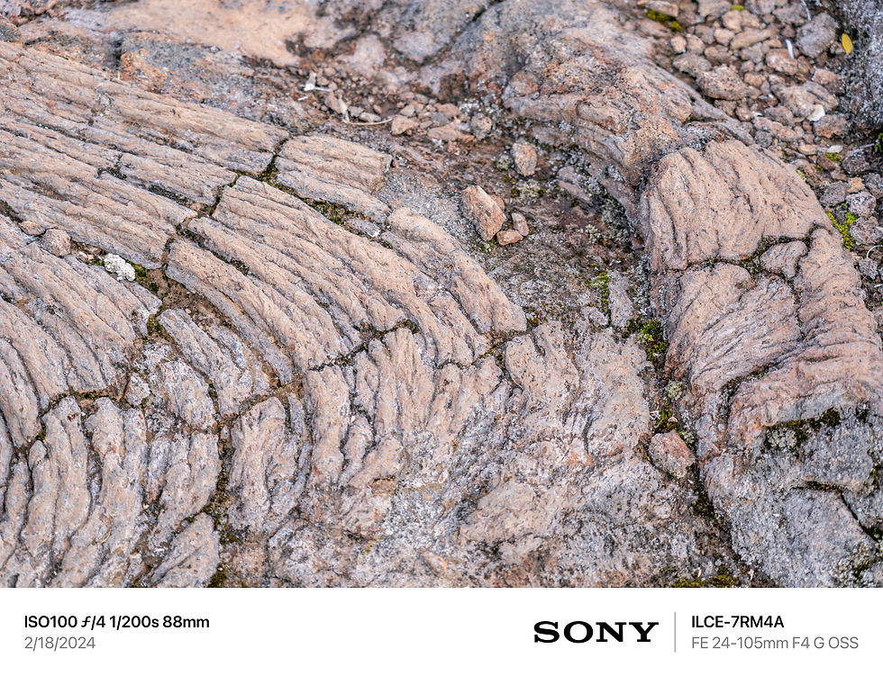 夏威夷，大岛，夏威夷岛，夏威夷摄影师，大岛摄影师，夏威夷岛摄影师，夏威夷旅游，大岛旅游，夏威夷岛旅游，夏威夷旅行，大岛旅行，夏威夷岛旅行，夏威夷导游，大岛导游，夏威夷岛导游，夏威夷私人导游，大岛私人岛屿，夏威夷岛私人导游，夏威夷当地向导，大岛当地向导，夏威夷岛当地向导，夏威夷包车，大岛包车，夏威夷岛包车，夏威夷司机，大岛司机，夏威夷岛司机，夏威夷旅拍，大岛旅拍，夏威夷岛旅拍，夏威夷跟拍，大岛跟拍，夏威夷岛跟拍，夏威夷约拍，大岛约拍，夏威夷岛约拍， Hawaii，The Big Island，夏威夷研学游，夏威夷亲子游，夏威夷蜜月游，夏威夷求婚，冒纳罗亚火山、Mauna Loa、夏威夷火山国家公园、Hawaiʻi Volcanoes National Park