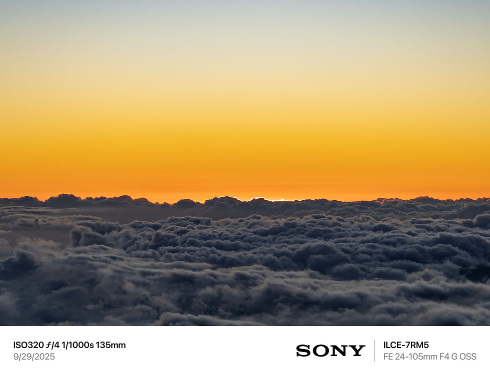 夏威夷，茂宜岛，毛伊岛，夏威夷摄影师，茂宜岛摄影师，毛伊岛摄影师，夏威夷旅游，茂宜岛旅游，毛伊岛旅游，夏威夷旅行，茂宜岛旅行，毛伊岛旅行，夏威夷导游，茂宜岛导游，毛伊岛导游，夏威夷私人导游，茂宜岛私人岛屿，毛伊岛私人导游，夏威夷包车，茂宜岛包车，毛伊岛包车，夏威夷司机，茂宜岛司机，毛伊岛司机，夏威夷旅拍，茂宜岛旅拍，毛伊岛旅拍，夏威夷跟拍，茂宜岛跟拍，毛伊岛跟拍，夏威夷约拍，茂宜岛约拍，毛伊岛约拍， Hawaii，Maui,  哈雷阿卡拉国家公园， 哈莱亚卡拉， 海勒卡拉国家公园，Haleakalā National Park，夏威夷日落，茂宜岛日落，毛伊岛日落，夏威夷云海日落，茂宜岛云海日落，毛伊岛云海日落