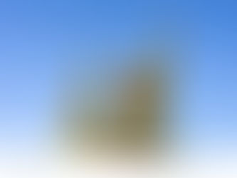 夏威夷植物之旅|山地雁果(Coprosma montana)|特有种