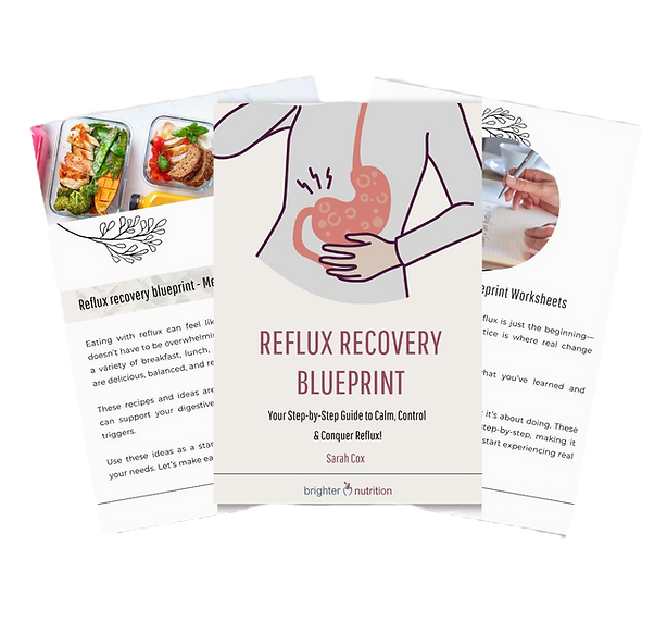 Reflux blueprint mockup_edited.png