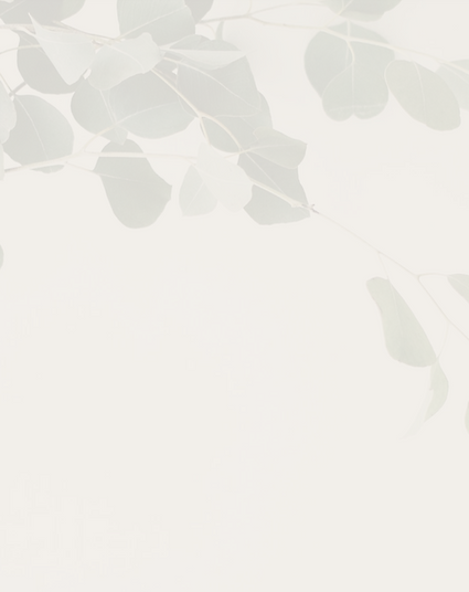 Background soft.png