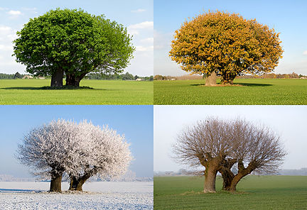 season.jpg