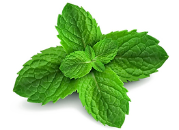 pngegg (9).png