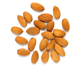 pngegg (4).png