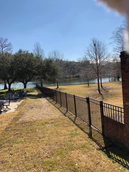 beautiful iron fence
