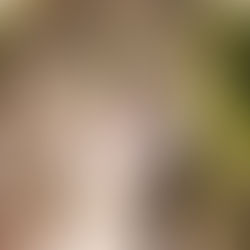 My Paradise Dream Wedding