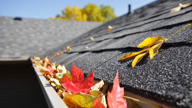 Gutter Cleaning – A Pesky Necessity