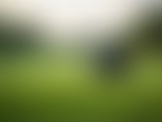 Understanding the Benefits of Price Match Guarantees