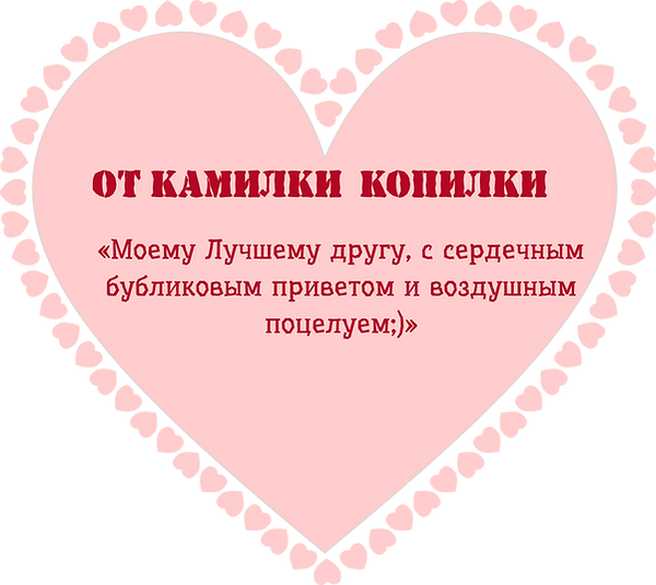 камилка.png