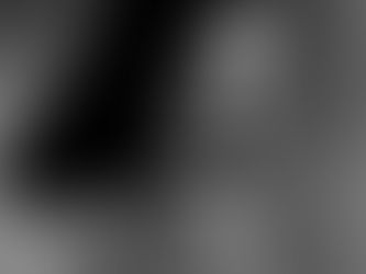 What Makes Ella Raines Special