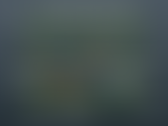 A2 Economics – Differing objectives of firms