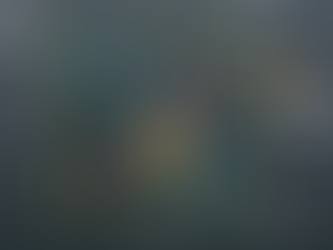 Overtourism and negative externalities