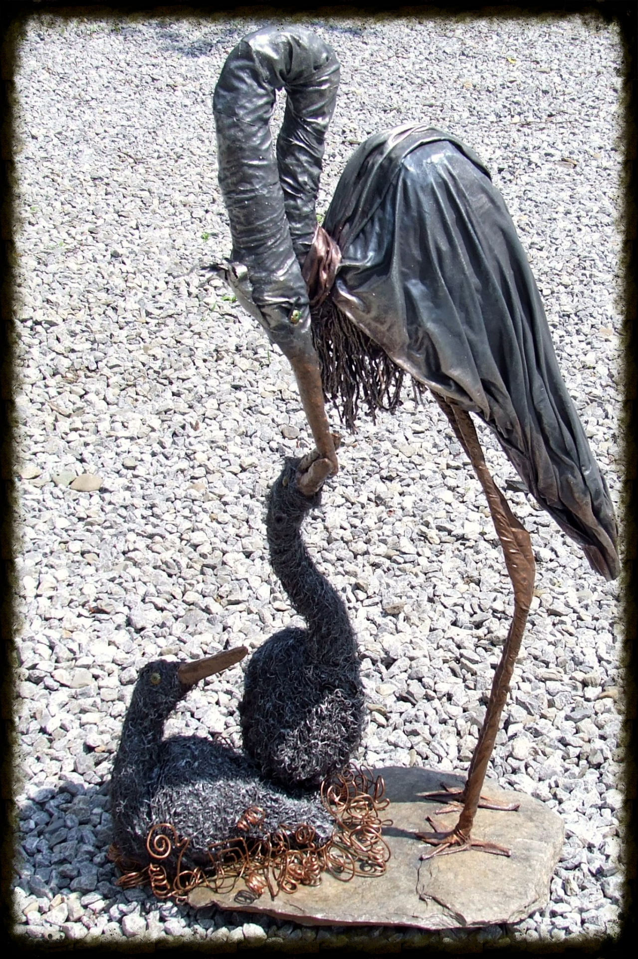 la maman et les héronneaux