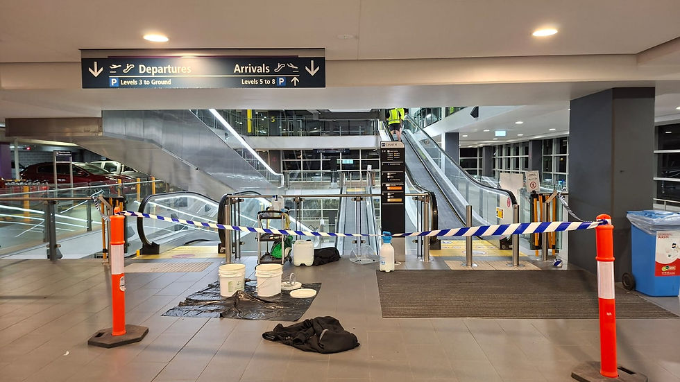 WhatsApp Image 2025-11-13 at 11.48.56 AM.jpeg