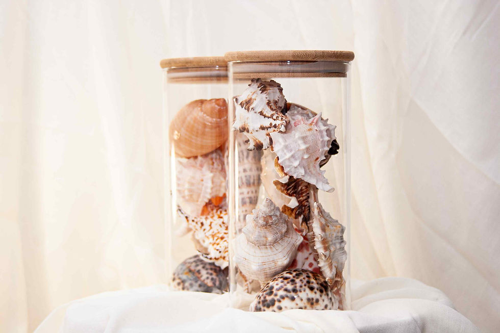 Thumbnail: Tall Jar of Shells