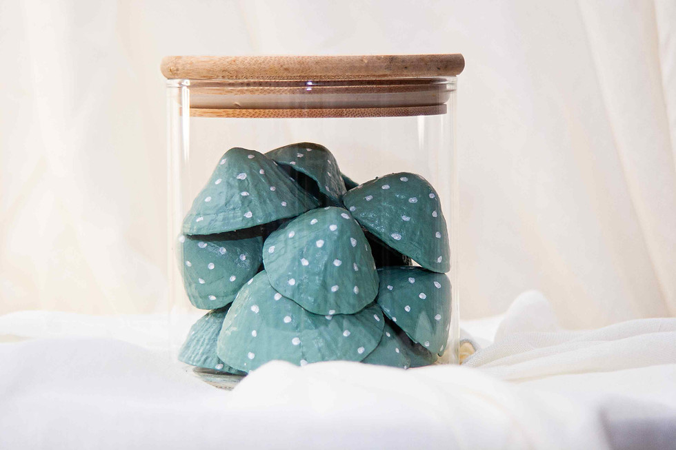 Thumbnail: Jars of Painted Spotty Shells