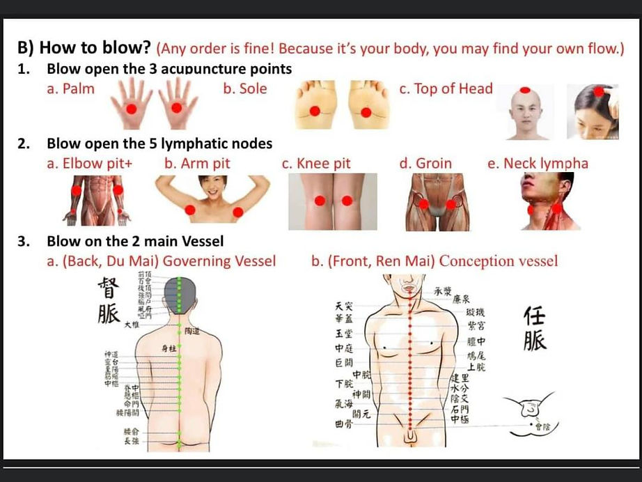 iteracare-instructions-2.jpg