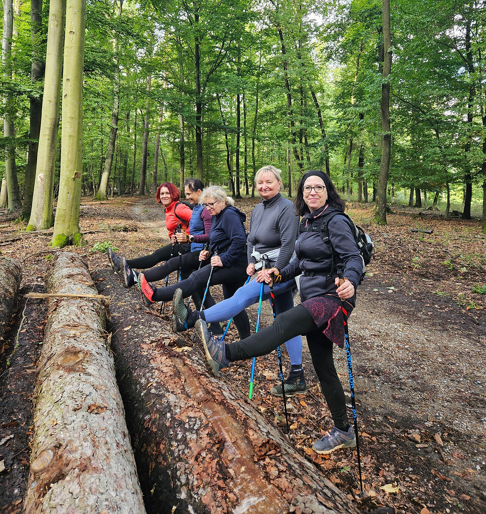 Etapa 8 | S hůlkami kolem Brna