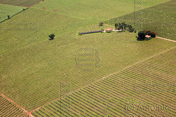 Hola_070410_img_0949