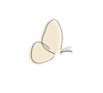 butterflies-46_edited.png