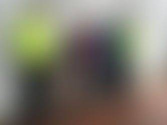 ¿Quienes son los autores principales del delito?