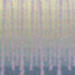 Uncertainty Principle