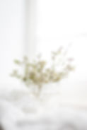 sixteen-miles-out-TN6kLg466Bc-unsplash.j
