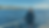 Untitled design (2).png