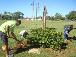 Jardinería CMT 2
