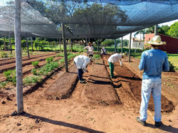 Horticultura CMT