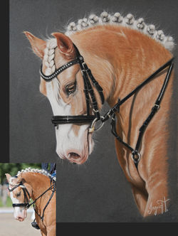 Gornoeth White Pearl de Maïka