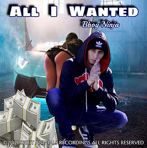 All I Wanted Cover.jpg
