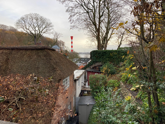 IMG_0808.JPEG