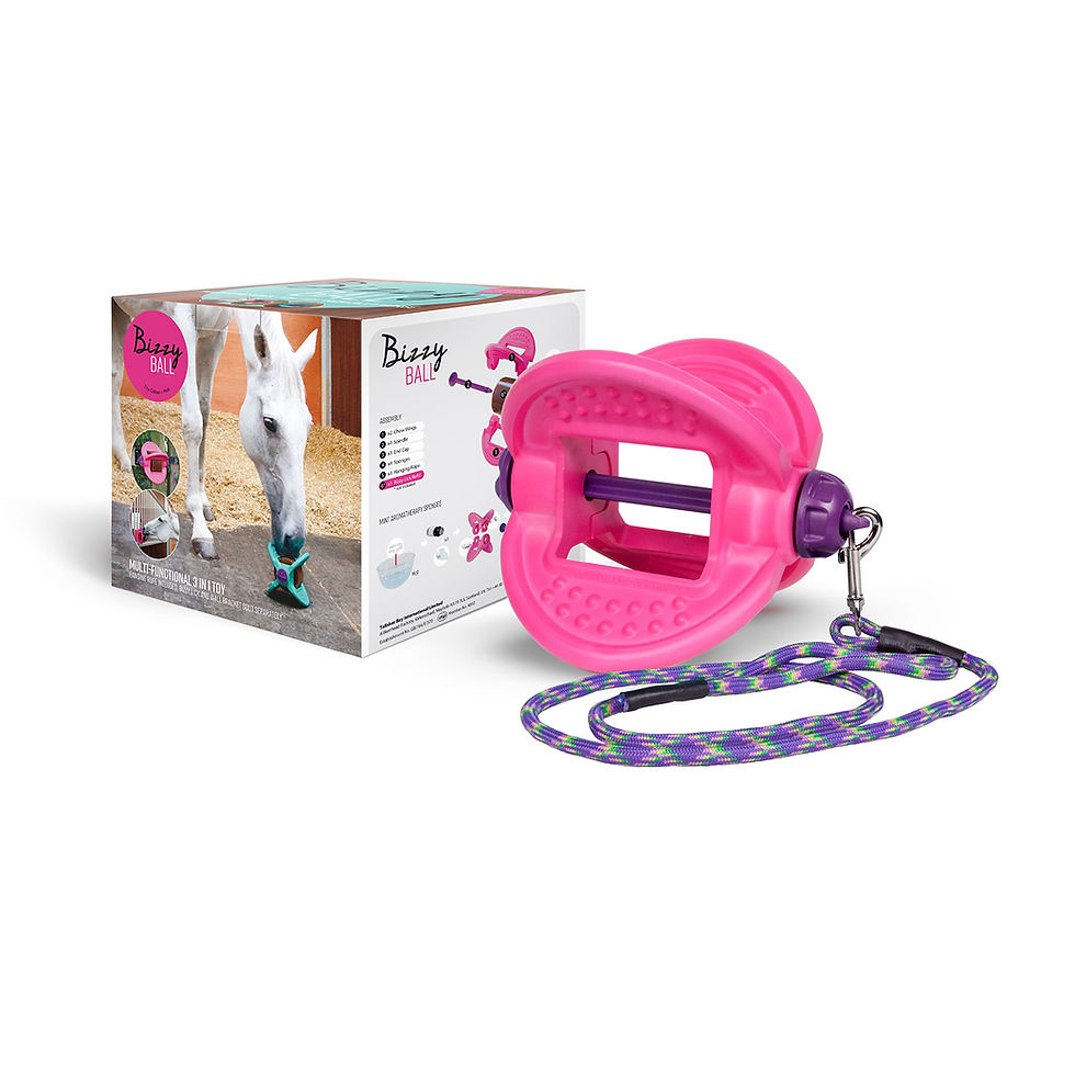 Thumbnail: Bizzy Ball 3 in 1 Toy
