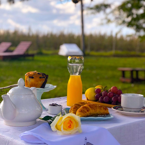 Picnic al aire libre