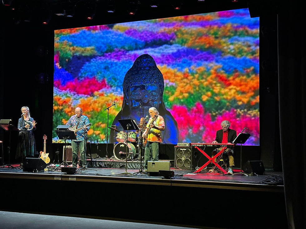 Paul Hodes and The Blue Buddha Band: Entre tiburones y melodías