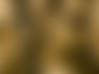 Steven Lindh y el arte de encontrar un “Perfect Day”