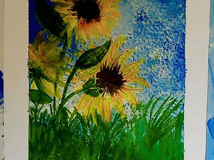 Sunflower Feed