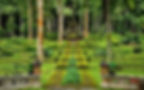 Botanical Garden Bedugul