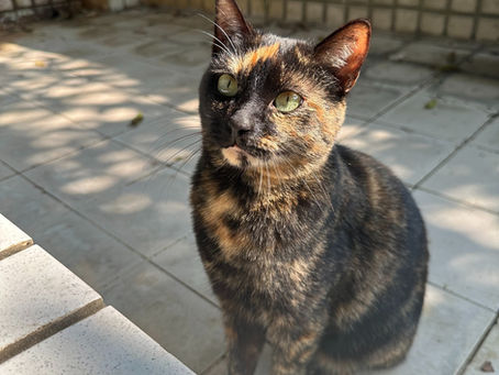 【玩出無限可能！臺灣瑟谷實驗教育機構學生訪客招生中】