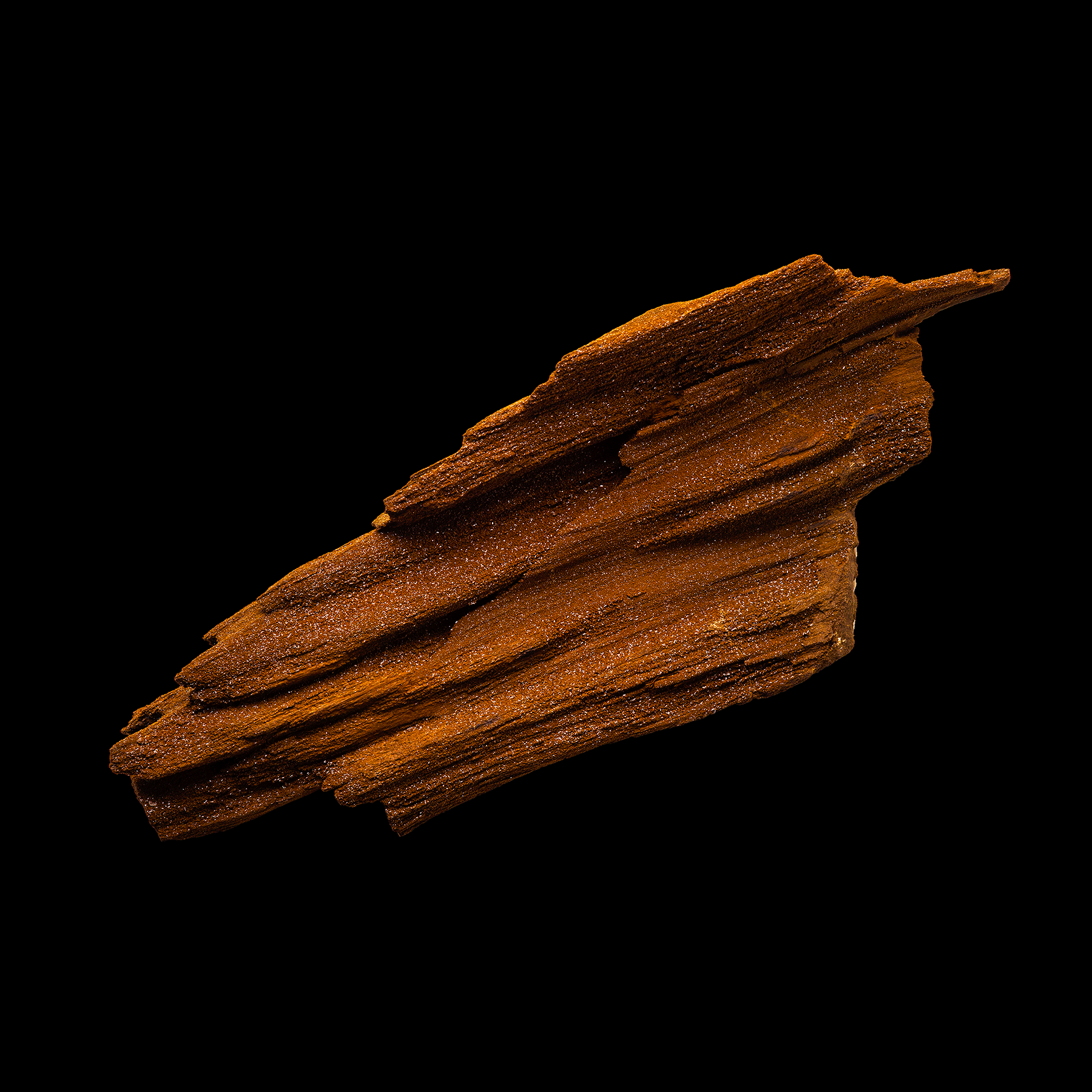 Untitled-1.gif